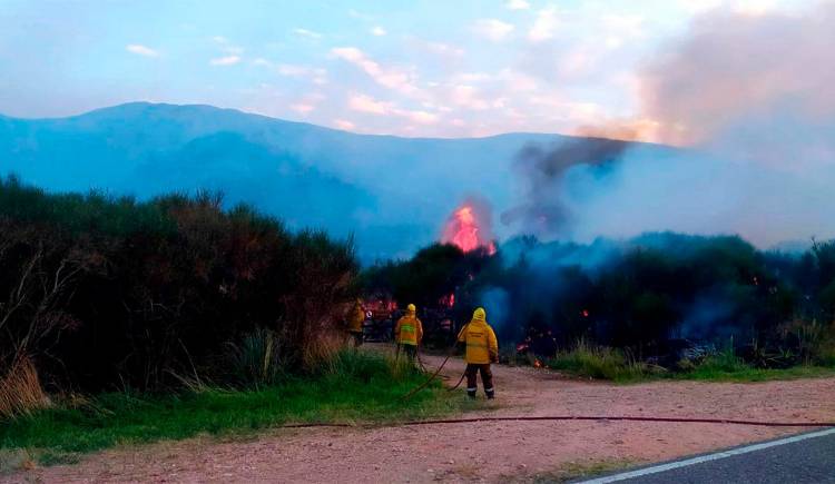 BUENOS AIRES: CUARTA JORNADA CONSECUTIVA INTENTANDO COMBATIR EL INCENDIO FORESTAL EN EL PARQUE PROVINCIAL ERNESTO TORNQUIST