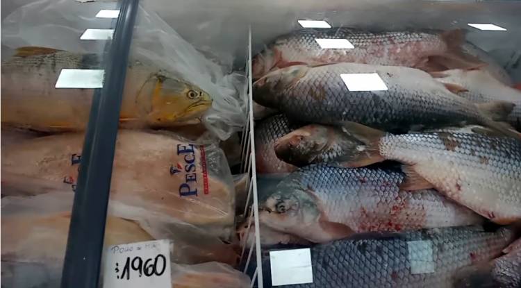 TUCUMÁN: VIERNES DE CUARESMA, ¿CUÁNTO AUMENTARON EL POLLO Y EL PESCADO?