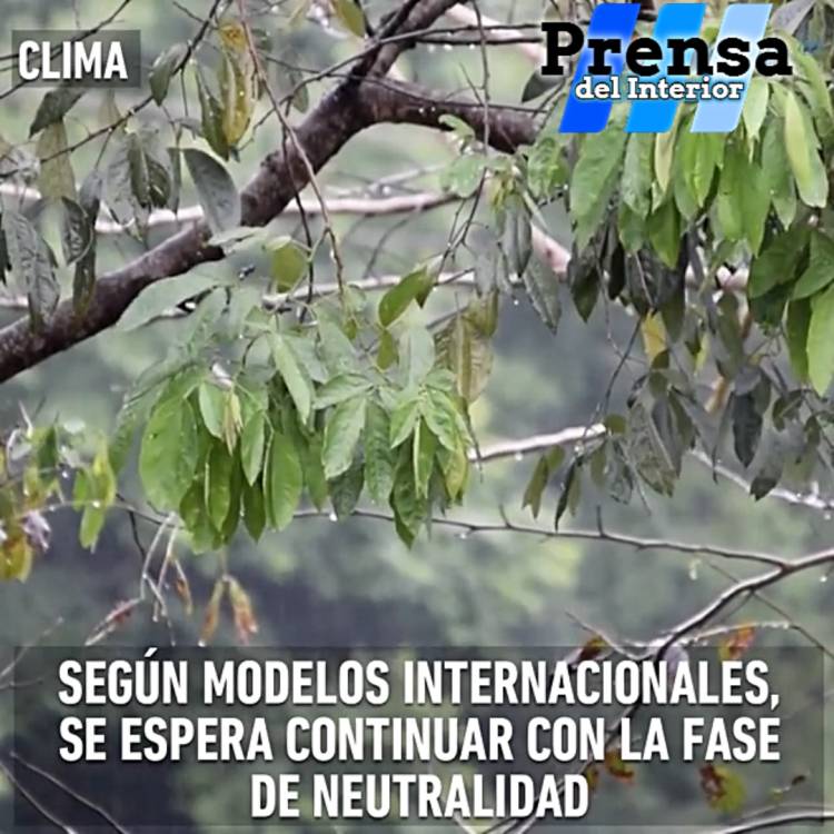 CLIMA: EXPECTATIVAS PARA EL PRÓXIMO TRIMESTRE