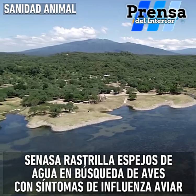 SANIDAD ANIMAL: PREVENCIÓN DE INFLUENZA AVIAR 