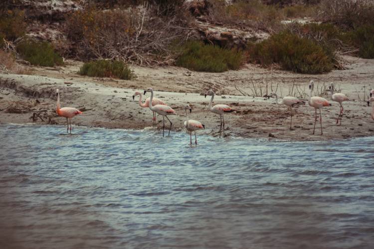 AMBIENTE DE LA PROVINCIA DE SAN LUIS TRABAJA CON INVESTIGADORES PARA PROTEGER LA CALIDAD DE LOS ECOSISTEMAS ACUÁTICOS
