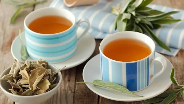 EL TÉ DE SALVIA, EL TÉ QUE "LO CURA TODO": LAS MÚLTIPLES PROPIEDADES Y BENEFICIOS PARA LA SALUD