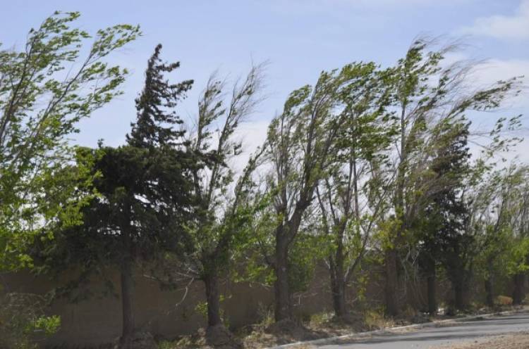 PRONOSTICAN DESCENSO DE TEMPERATURA Y VIENTOS FUERTES EN SAN LUIS