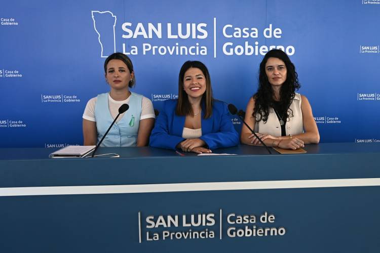 SAN LUIS LANZÓ EL REGISTRO DE ARTISTAS PARA POTENCIAR LA CULTURA PROVINCIAL