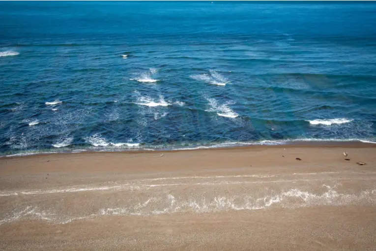 VERANO 2026: SANTA TERESITA VUELVE A DESTACARSE EN LA COSTA ATLÁNTICA