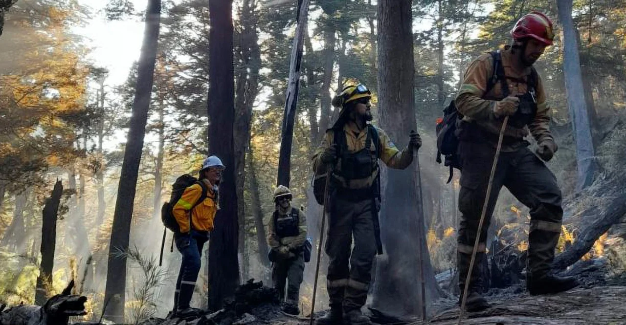 INCENDIO EN EPUYÉN: MÁS DE 200 HECTÁREAS AFECTADAS POR UN FOCO ACTIVO