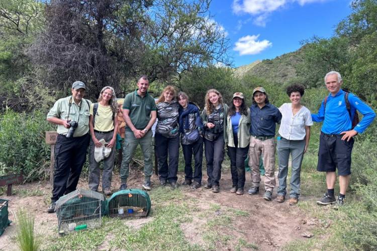 BIODIVERSIDAD EN SAN LUIS: AVES Y MAMÍFEROS REGRESARON A SU HÁBITAT NATURAL EN LA QUEBRADA DEL PALMAR