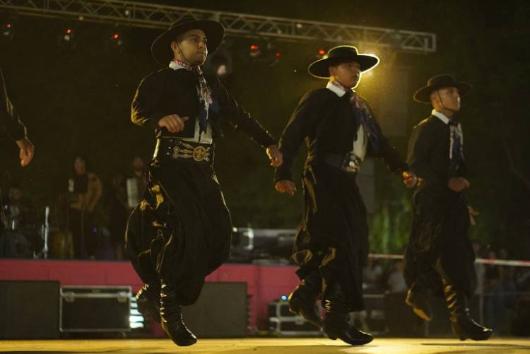 QUINES CELEBRA SU IDENTIDAD CON LA XXIV FIESTA NACIONAL DEL MATE Y LOS ARTESANOS DE LA MADERA