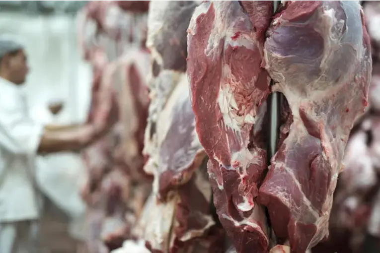 ACUERDO CON EE.UU.: ARGENTINA PODRÁ EXPORTAR 100 MIL TONELADAS DE CARNE SIN ARANCELES