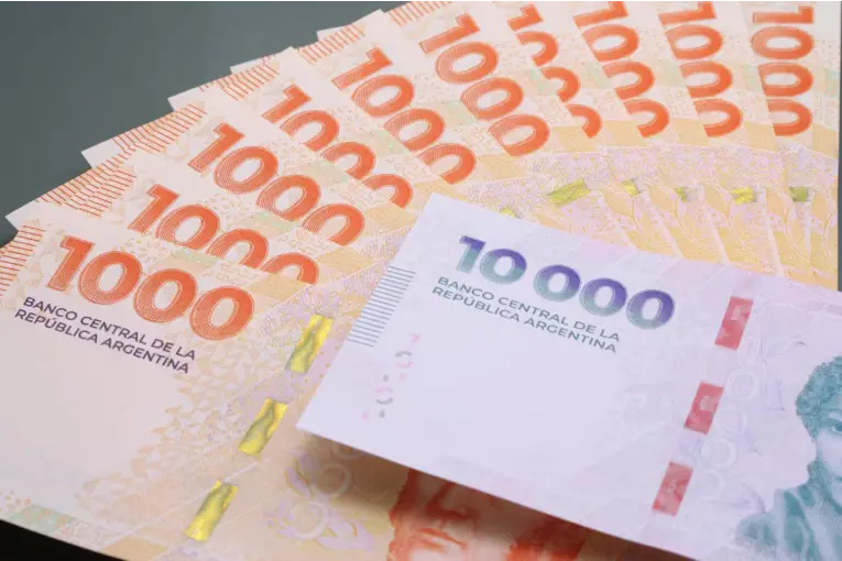 ANSES: proponen créditos para cancelar deudas de hasta $1,5 millones