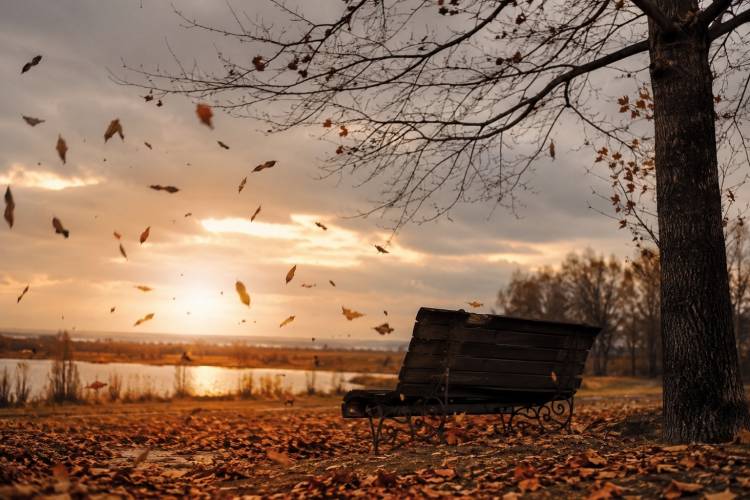 “Viento de otoño”: una poesía sobre el amor, la distancia y la esperanza